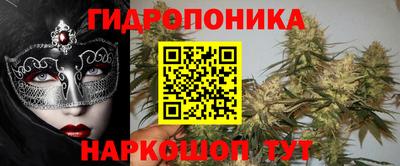 шишки Азнакаево