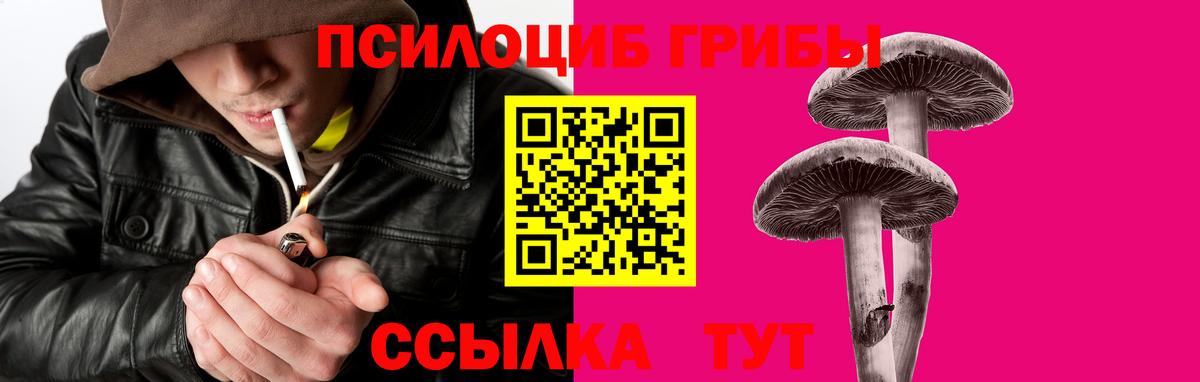 наркотики  Псилоцибиновые грибы GOLDEN TEACHER  Вход с VPN  Абинск 
